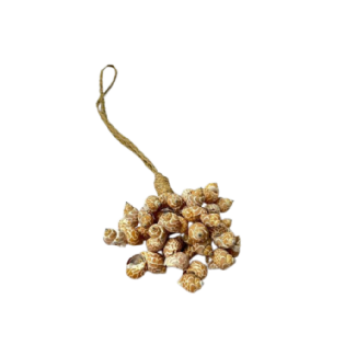 Adorno Conchas Karya L:10 X P:10 X A:50 CM