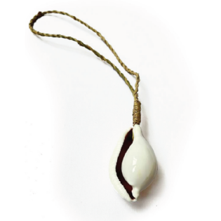 Adorno Conchas Lasia  - Ø:07 X A:37 CM