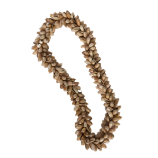 Colar Decorativo Conchas Kallal 55cm