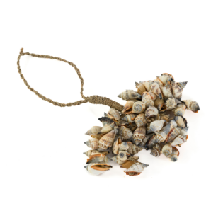 Adorno Conchas Manay C10xL10xA30cm