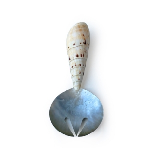 Concha Velure