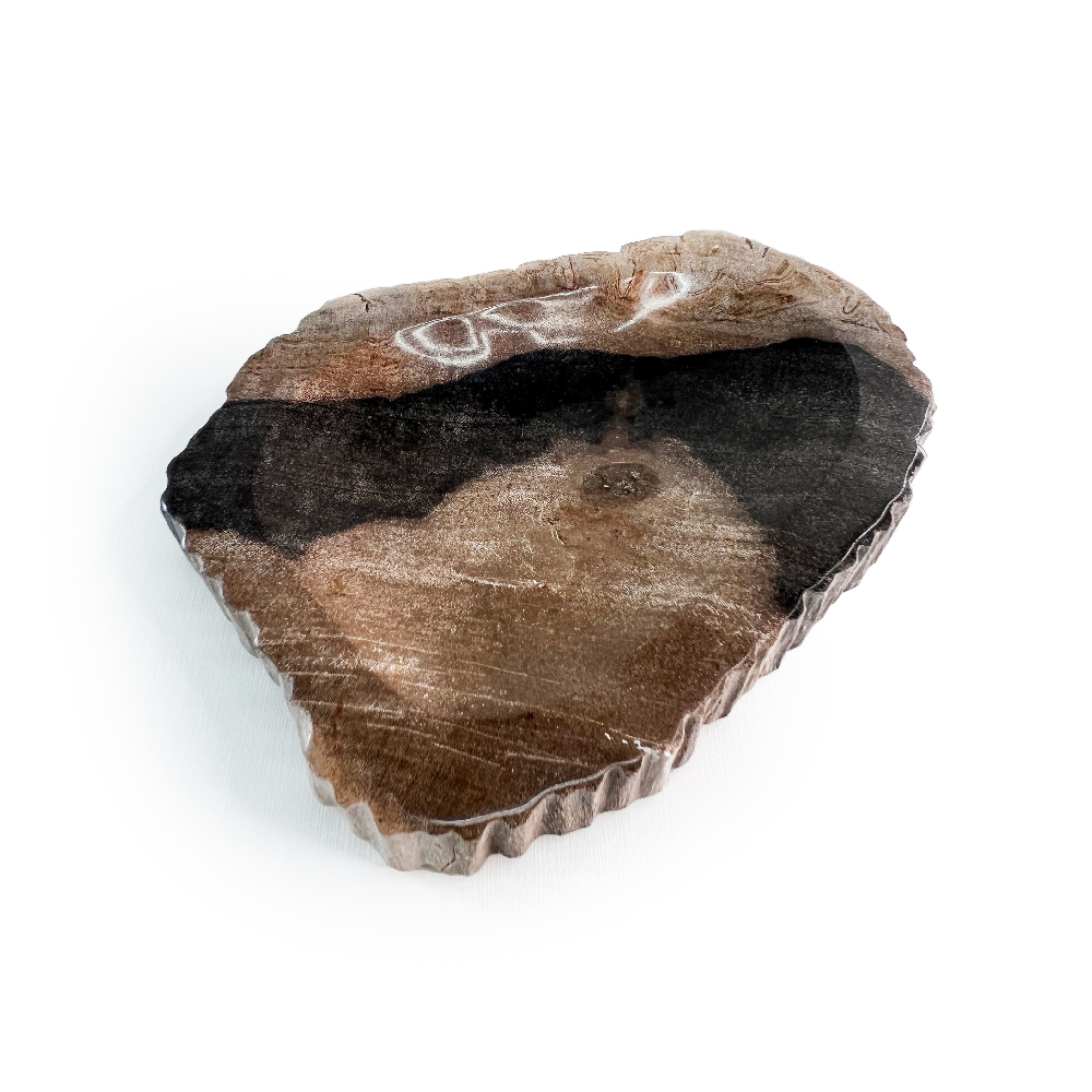 Bandeja Petrificada Savoy L:18 X P:13 X A:03 CM