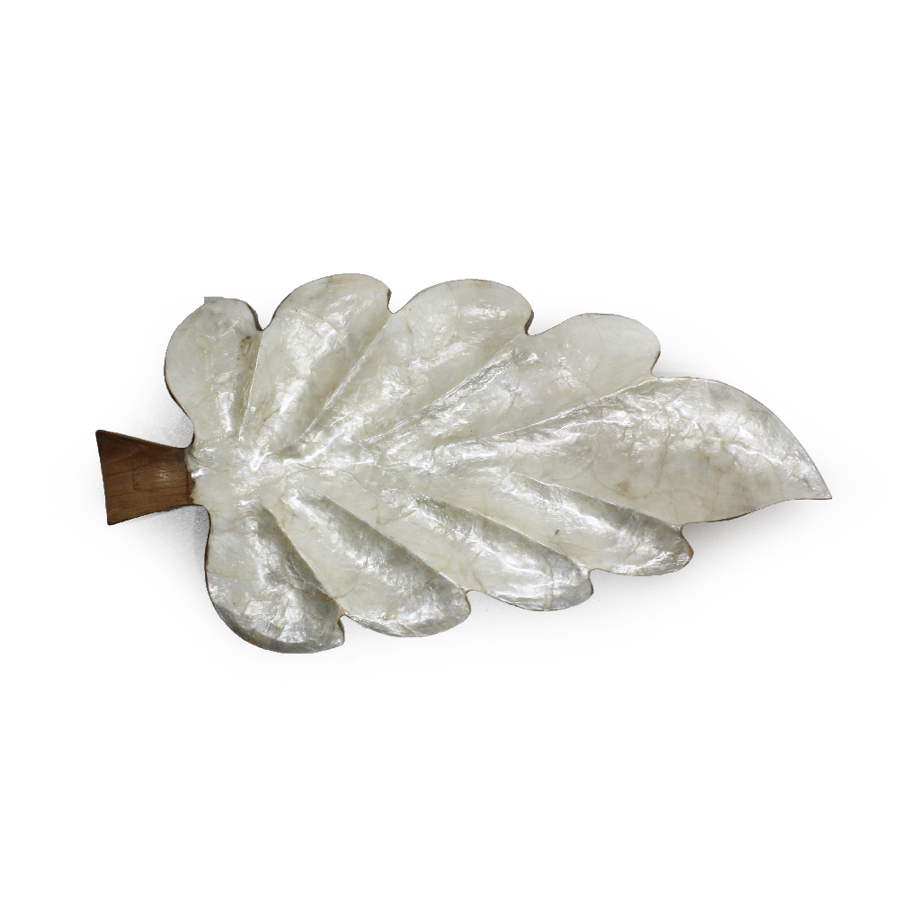 Bandeja Madeira|Concha Aure